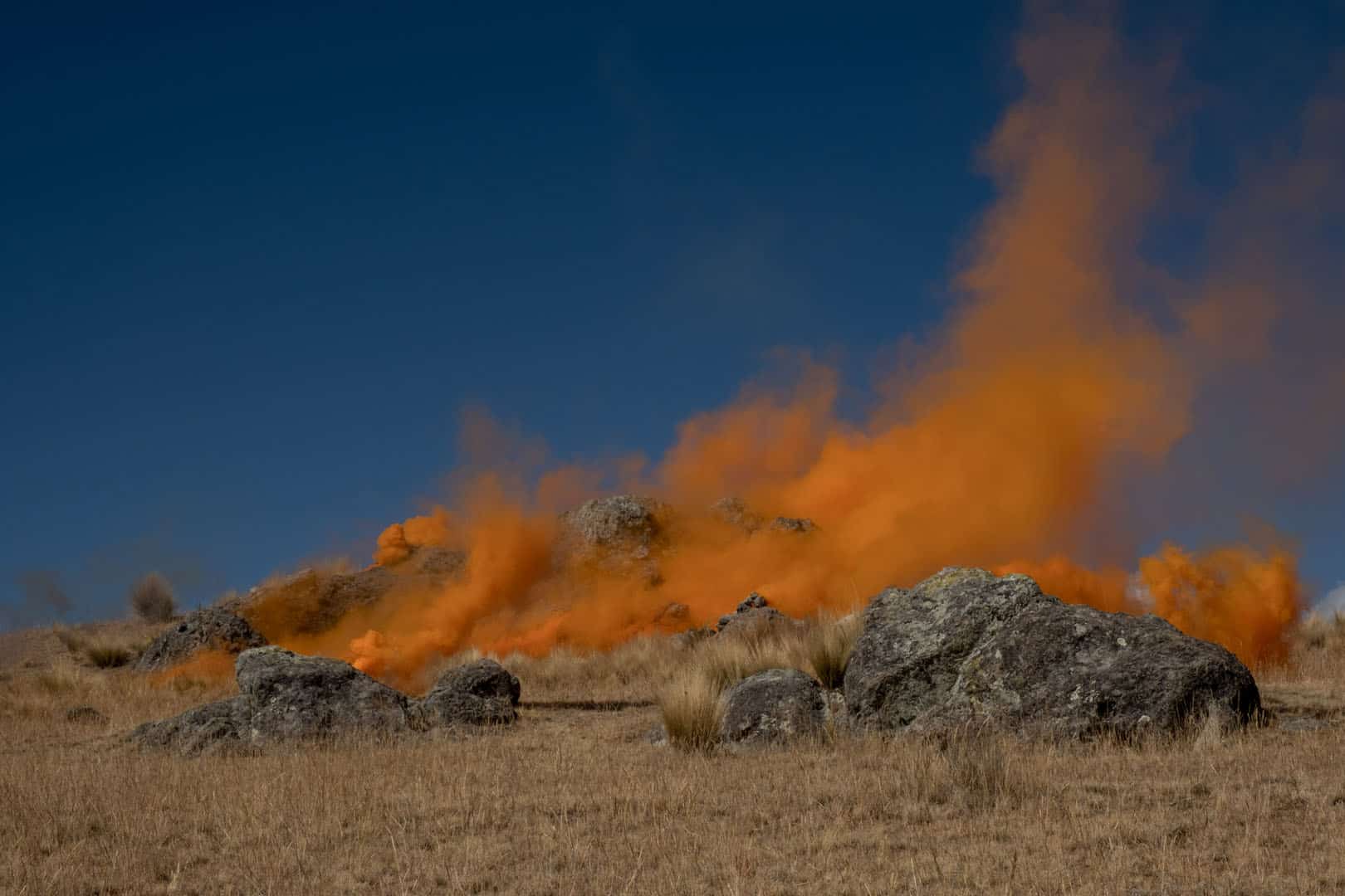 00_goldbard_FELA_wakas