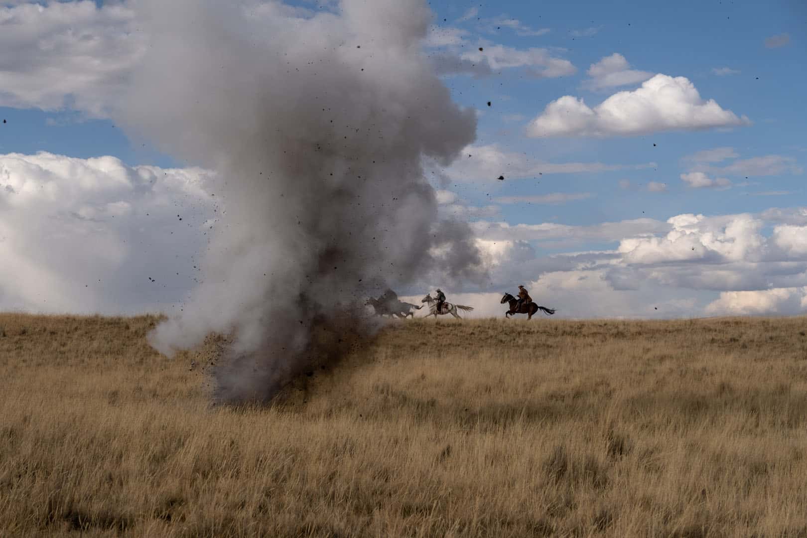 04_goldbard_FELA_TA02