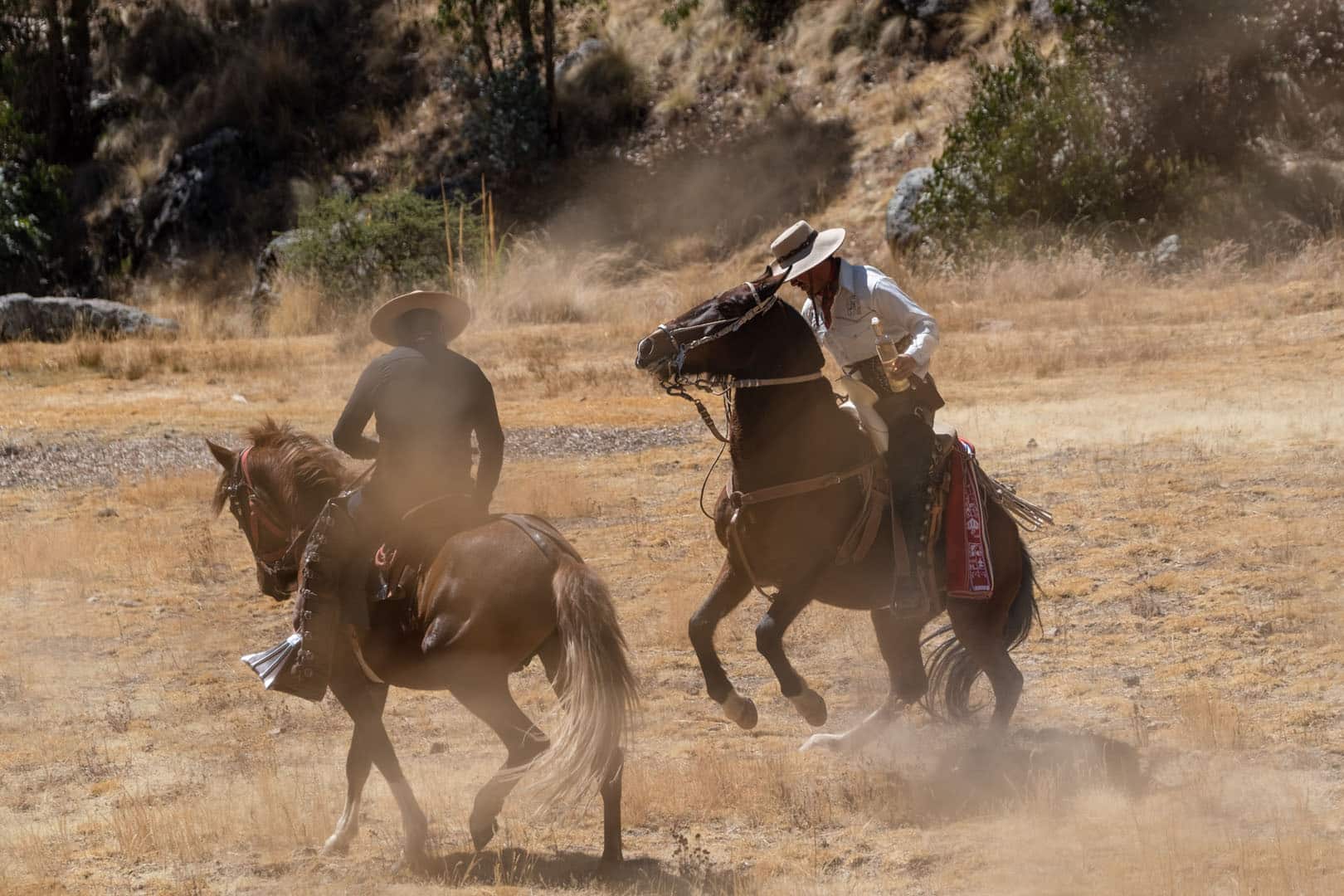 05_goldbard_FELA_tequila