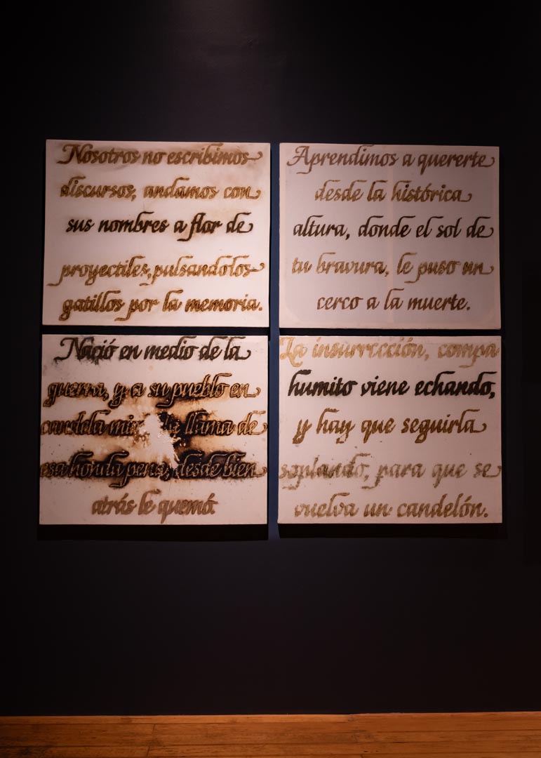 2025_05_Bi_Xa_David_Díaz (2)